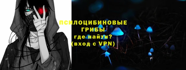 спиды Алексеевка
