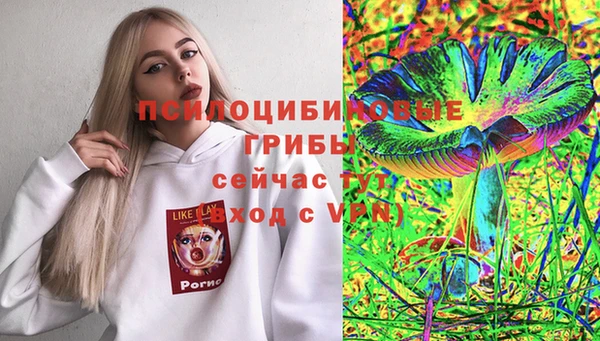 мет Арсеньев