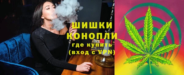 мет Арсеньев